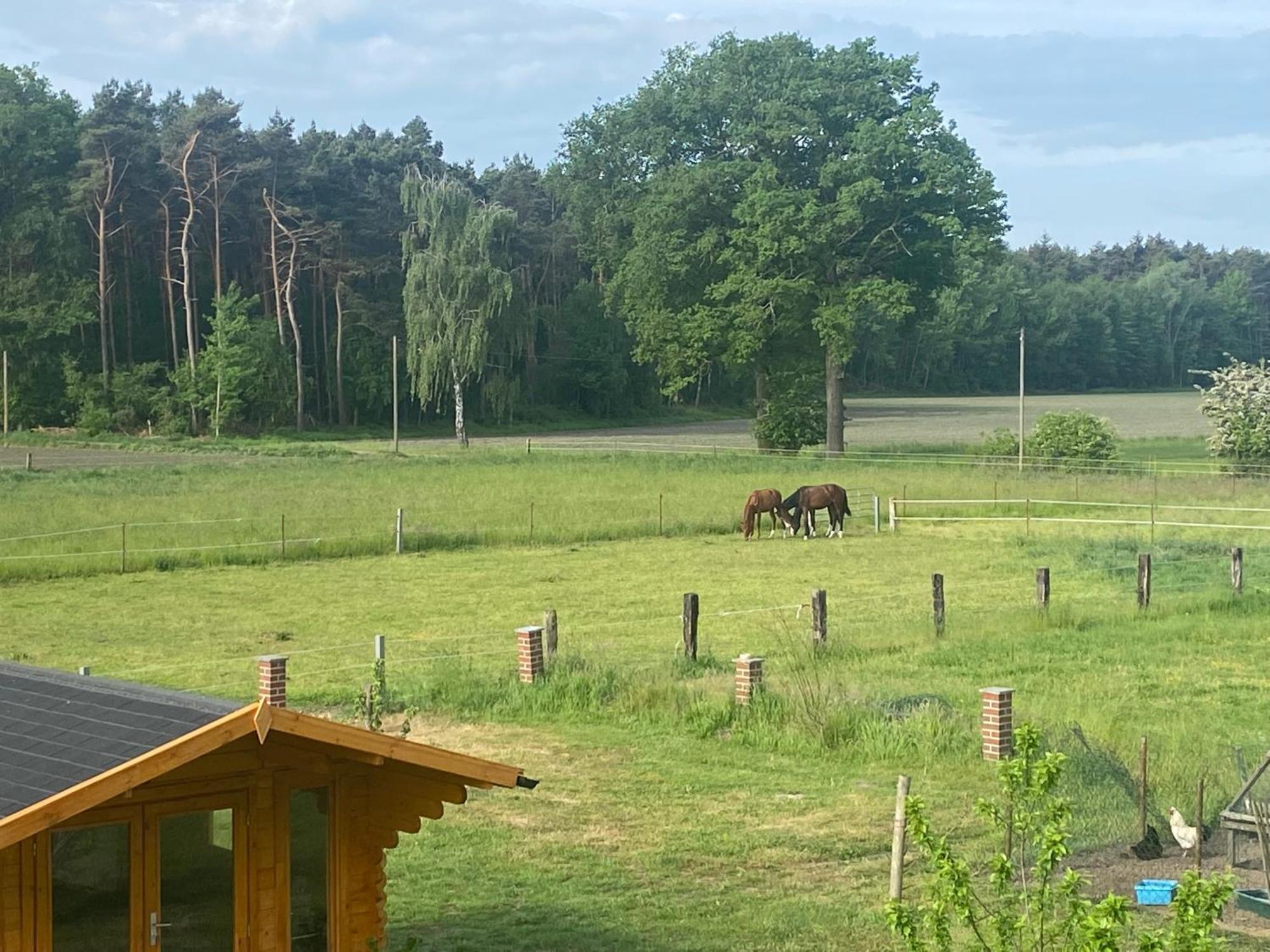 Wunderschoene Ferienwohnung Mit Balkon Auf Dem Bauernhof Greven Buitenkant foto