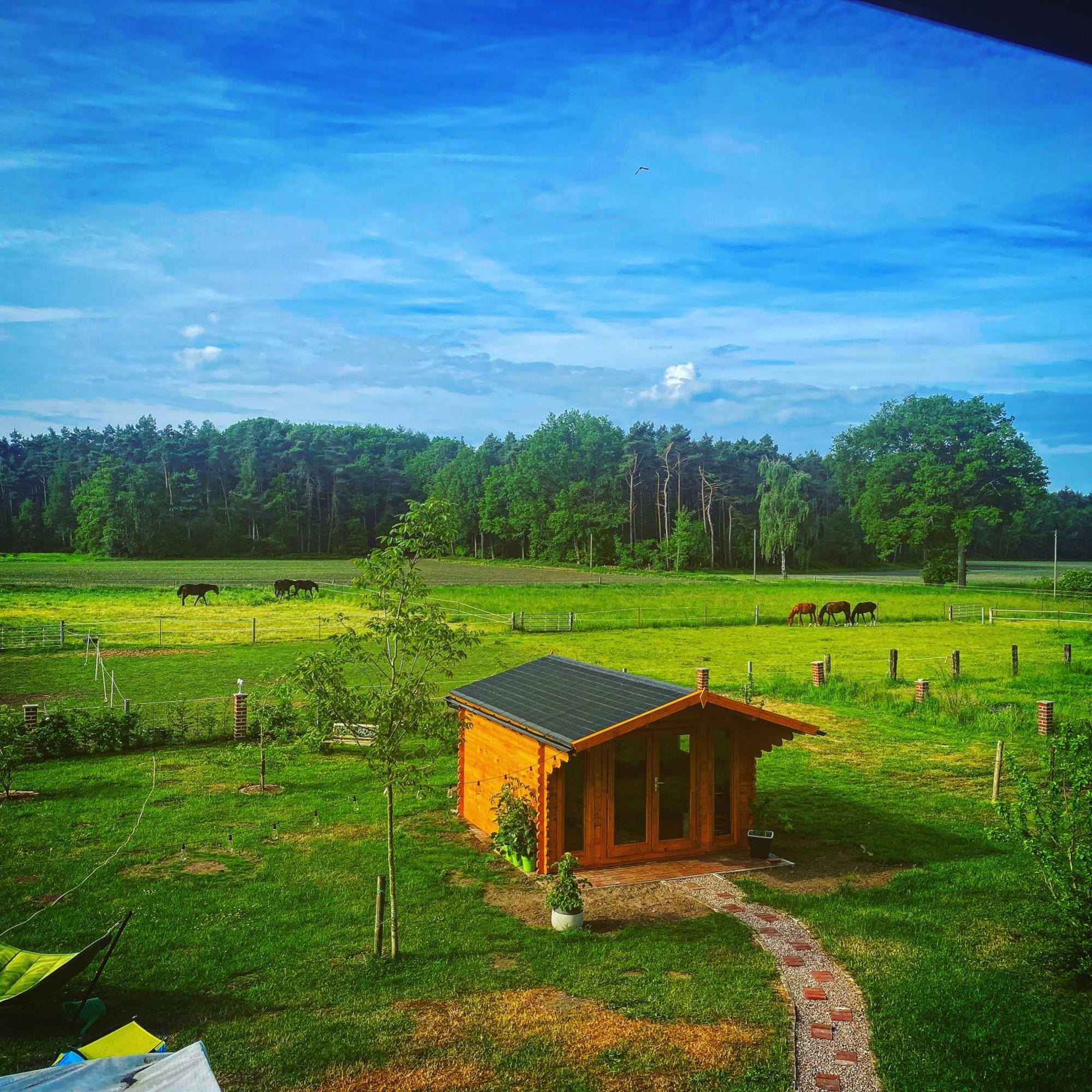 Wunderschoene Ferienwohnung Mit Balkon Auf Dem Bauernhof Greven Buitenkant foto