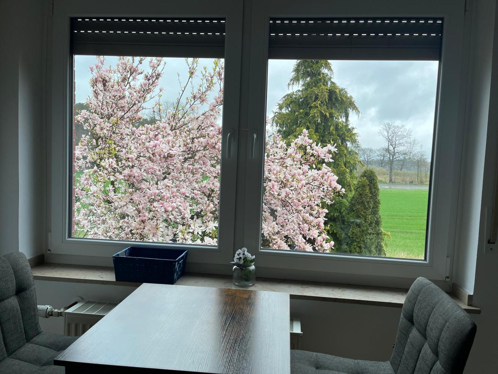 Wunderschoene Ferienwohnung Mit Balkon Auf Dem Bauernhof Greven Buitenkant foto